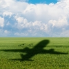 Sombra de un avión sobre un campo de cultivo
