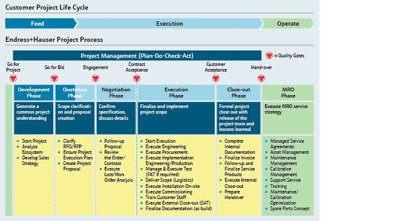 Gráfico que muestra el proceso de negocio de los proyectos y Endress+Hauser