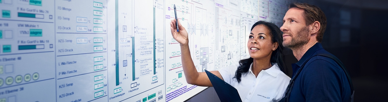 Soluciones optimizadas para la industria para obtener mejores resultados de Endress+Hauser