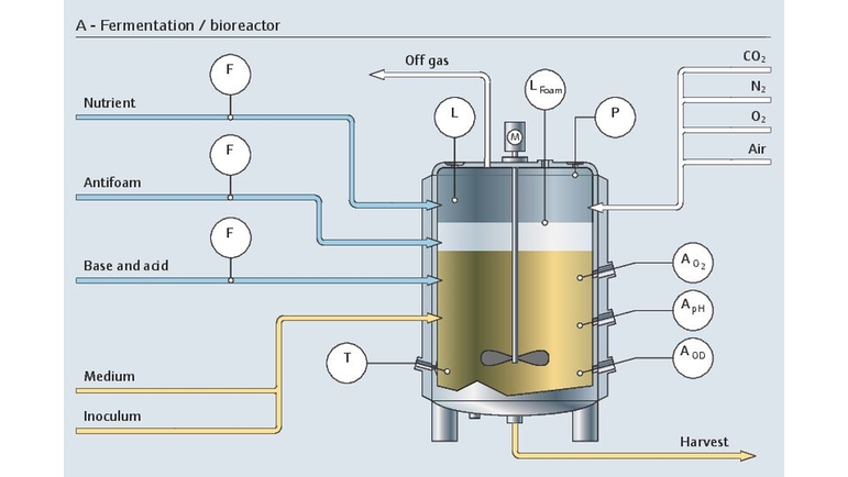 El procesado previo de fermentación en un biorreactor con todos los puntos de toma de mediciones relevantes