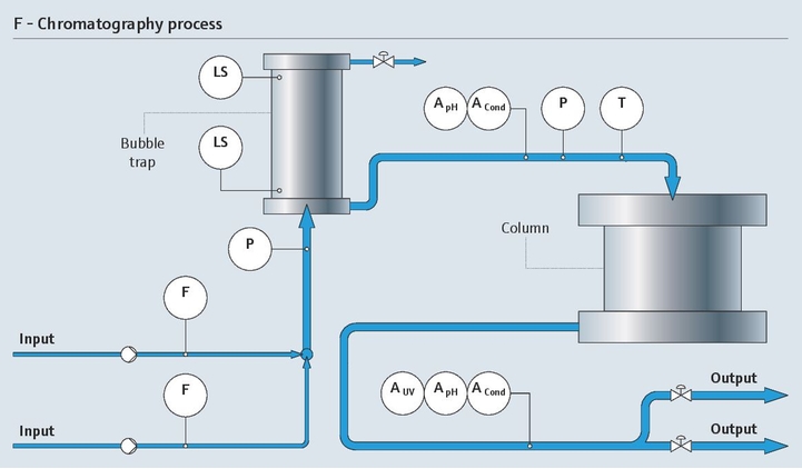 proceso cromatográfico