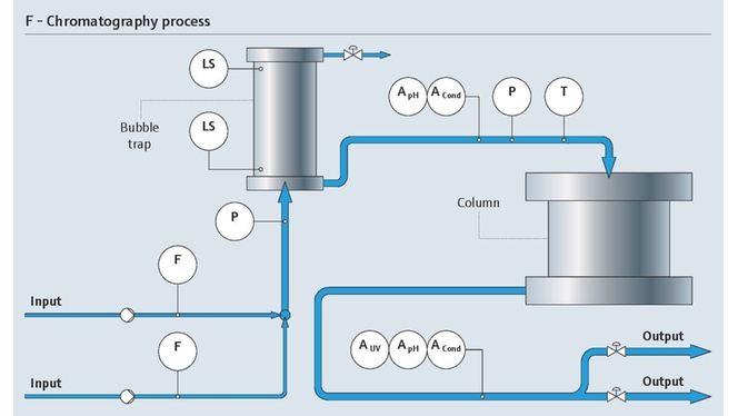 proceso cromatográfico