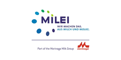 Logo de la compañía: MILEI