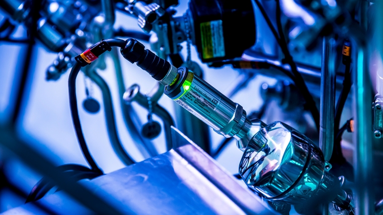 Especialista de la industria: TrustSens iTHERM de Endress+Hauser