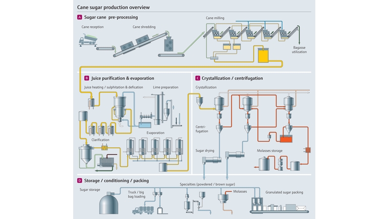 Procesos de fabricación de la caña de azúcar