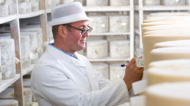 Operario de una planta de productos lácteos inspeccionando quesos