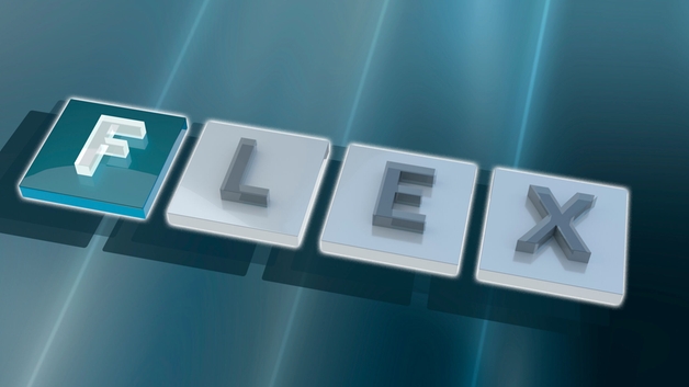 FLEX: Fundamental