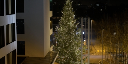 A Christmas tree will shine at Endress+Hauser in Reinach